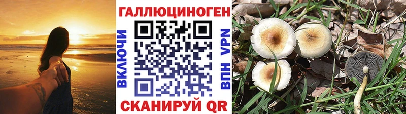 Псилоцибиновые грибы Cubensis  кракен онион  Мантурово 